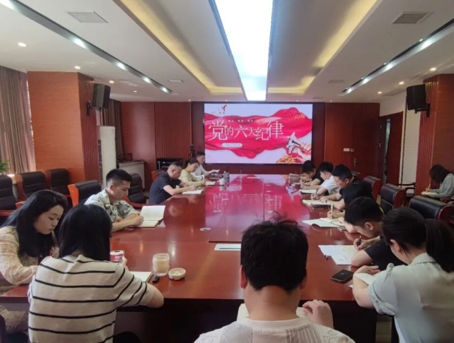 恪守“六大紀(jì)律”，筑牢思想根基--市古鎮(zhèn)投資公司行政黨支部組織開展黨記學(xué)習(xí)教育專題黨課